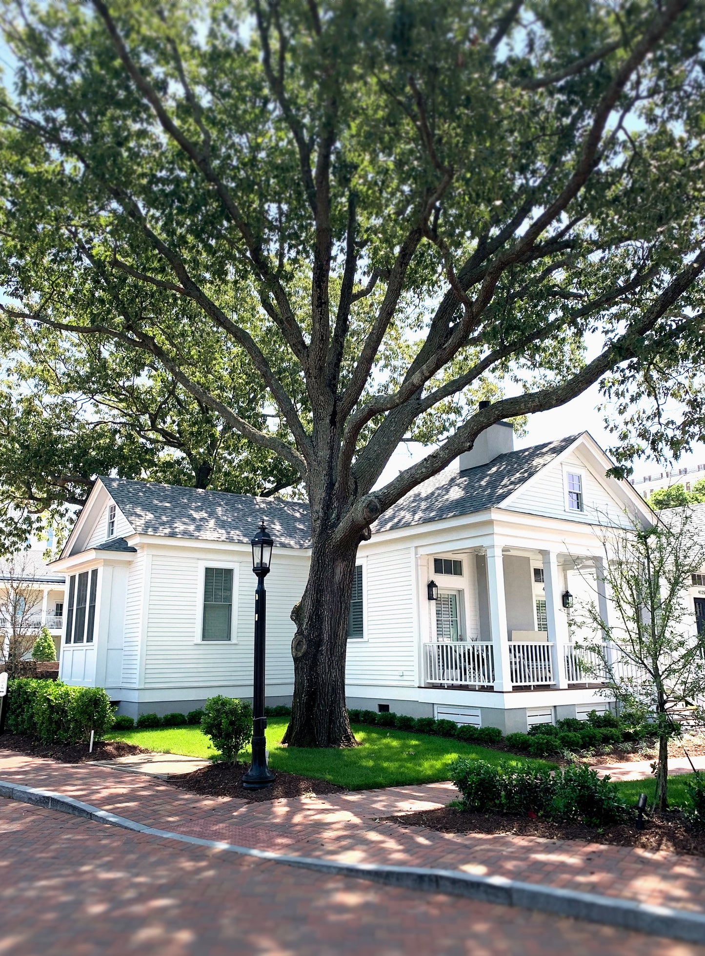 Willow Cove